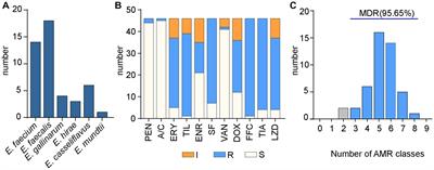Transmission of linezolid-resistant Enterococcus isolates carrying optrA and poxtA genes in slaughterhouses